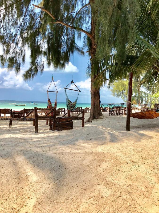 Simba Beach Zanzibar Kiwengwa  Ngoại thất bức ảnh