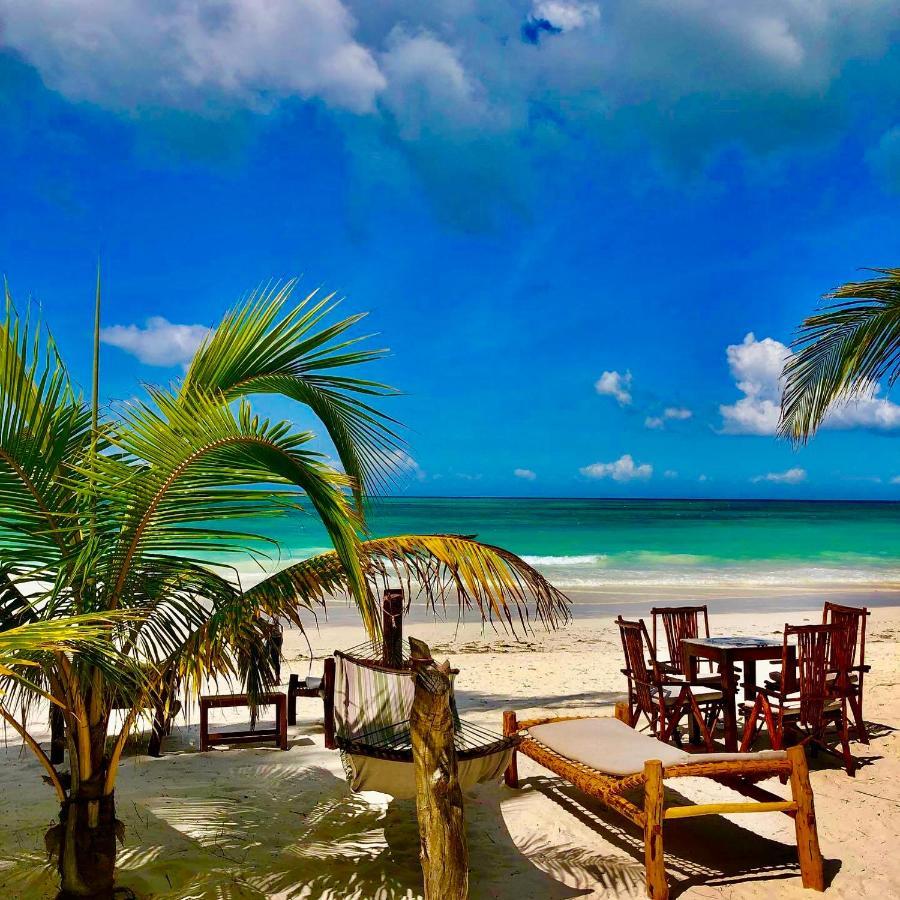 Simba Beach Zanzibar Kiwengwa  Ngoại thất bức ảnh