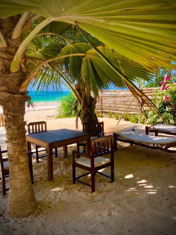 Simba Beach Zanzibar Kiwengwa  Ngoại thất bức ảnh