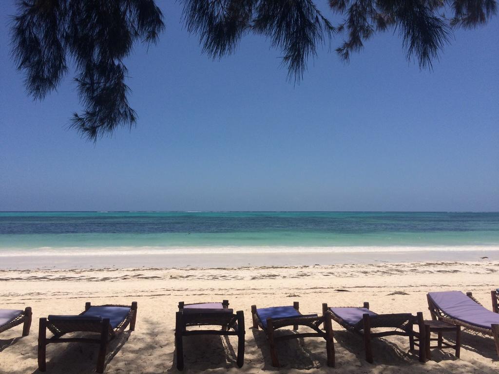 Simba Beach Zanzibar Kiwengwa  Ngoại thất bức ảnh