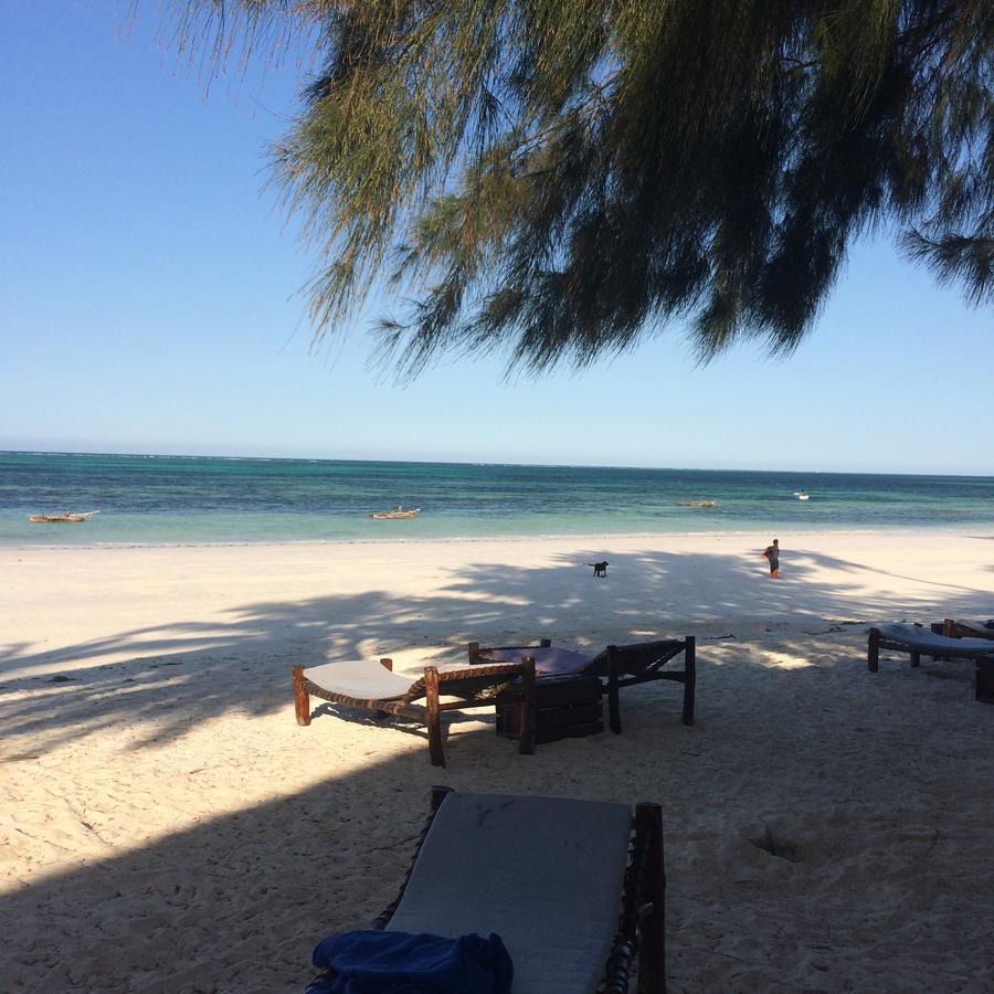 Simba Beach Zanzibar Kiwengwa  Ngoại thất bức ảnh