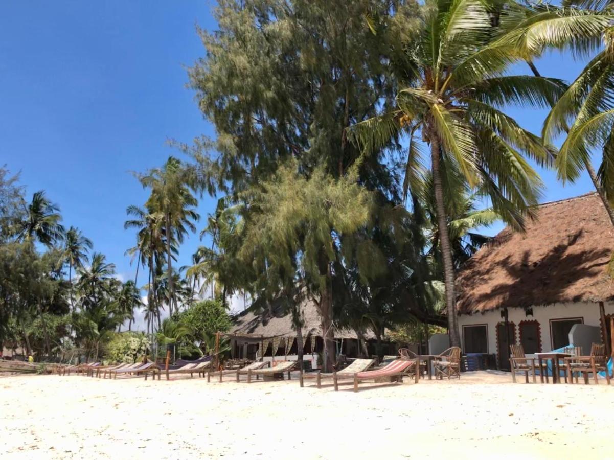 Simba Beach Zanzibar Kiwengwa  Ngoại thất bức ảnh