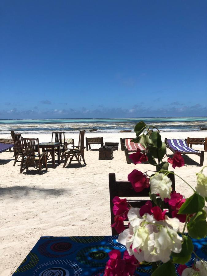 Simba Beach Zanzibar Kiwengwa  Ngoại thất bức ảnh