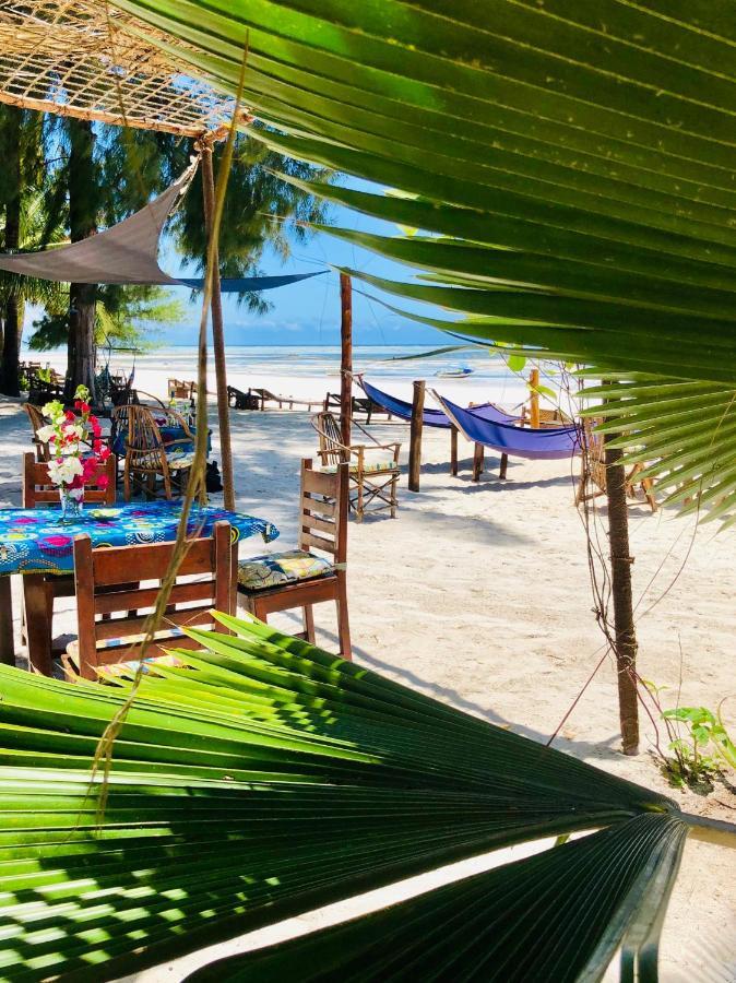 Simba Beach Zanzibar Kiwengwa  Ngoại thất bức ảnh