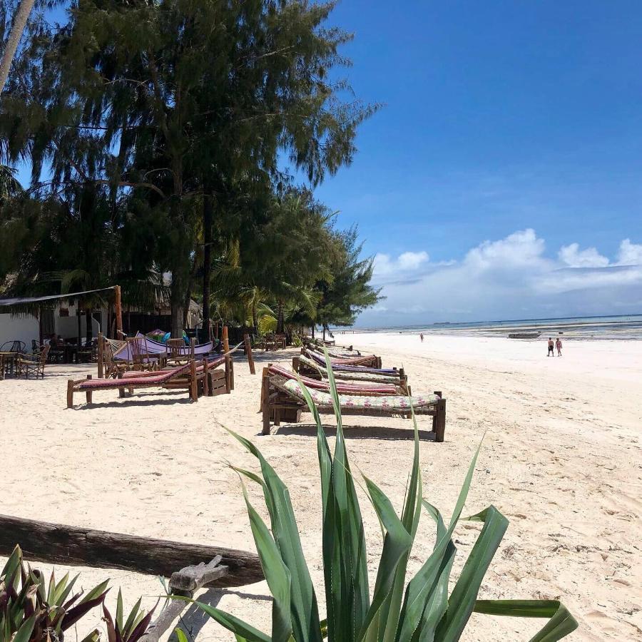 Simba Beach Zanzibar Kiwengwa  Ngoại thất bức ảnh