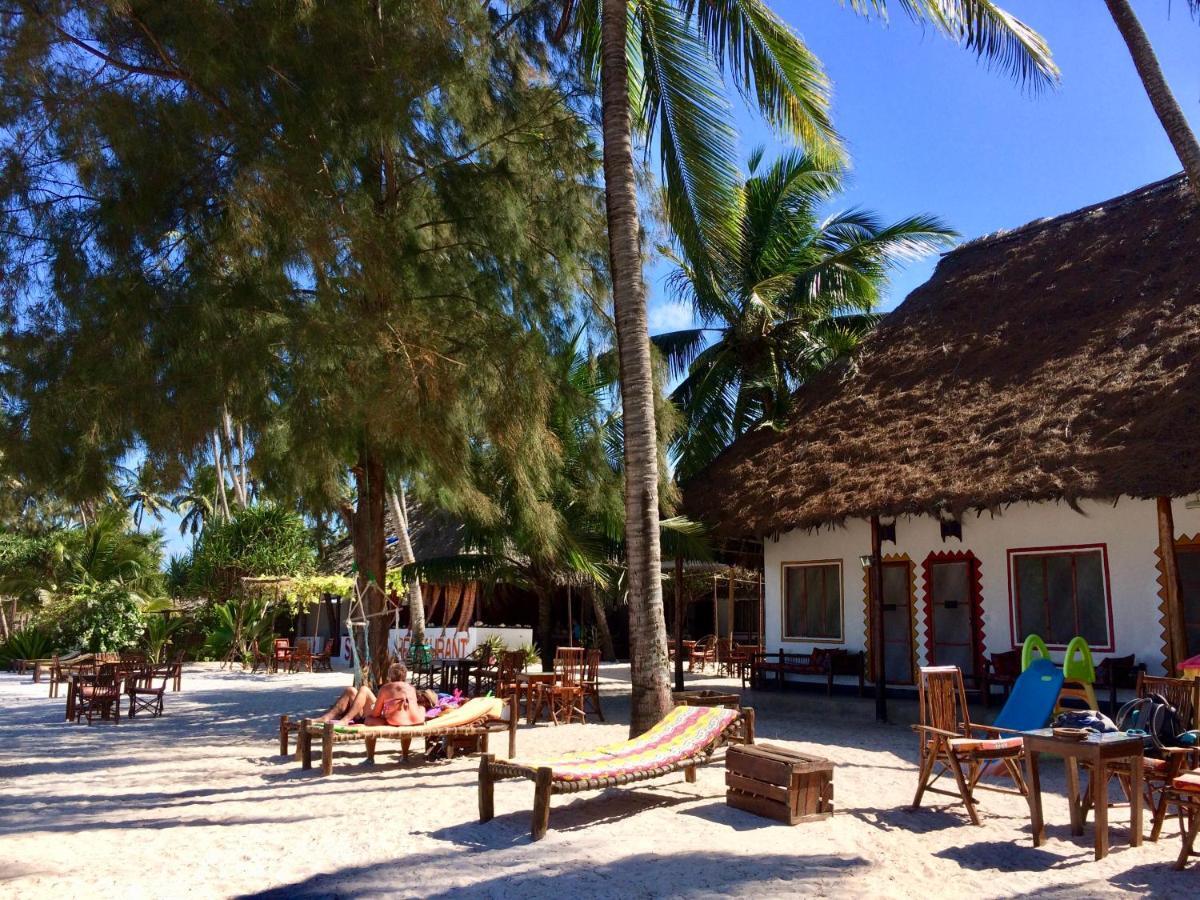 Simba Beach Zanzibar Kiwengwa  Ngoại thất bức ảnh